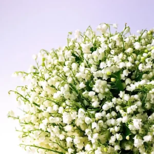 fondant parfumé MUGUET