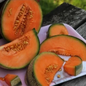 fondant parfumé MELON
