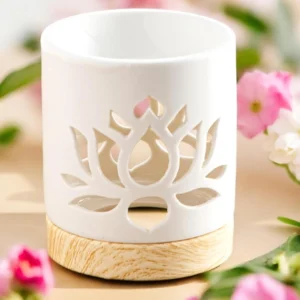 Diffuseur de parfum pour fondants parfumés Fondant parfumé Bougie parfumée Parfum de Grasse Orléans Loiret France