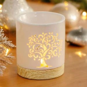 Diffuseur de parfum pour fondants parfumés Fondant parfumé Bougie parfumée Parfum de Grasse Orléans Loiret France