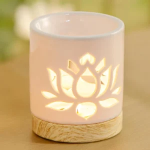 Diffuseur de parfum pour fondants parfumés Fondant parfumé Bougie parfumée Parfum de Grasse Orléans Loiret France