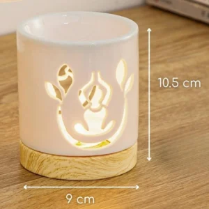 Diffuseur de parfum pour fondants parfumés Fondant parfumé Bougie parfumée Parfum de Grasse Orléans Loiret France