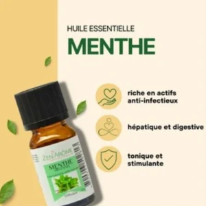 Huile essentielle menthe, arvensis 10-ml 100 % naturelle Huiles essentielles Zen' Arôme Aromathérapie Les Ateliers Voluptueux Orléans Loiret France